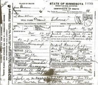 Anna Welter Schons, death certificate, 1913