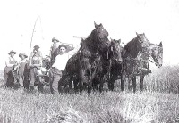peter_s._durrenberger_(white_shirt)_with_horse_team